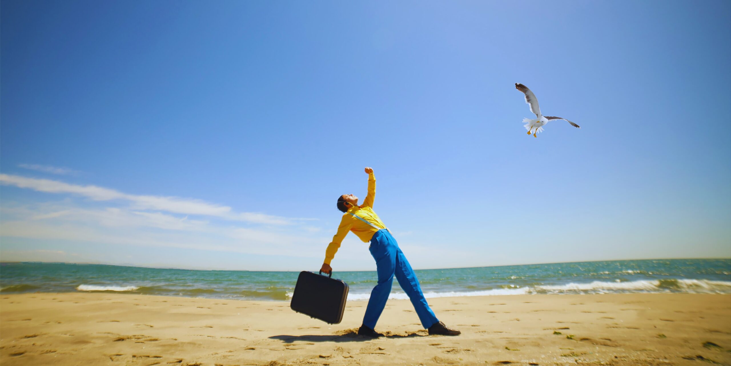 12-ROBINSON-site-min